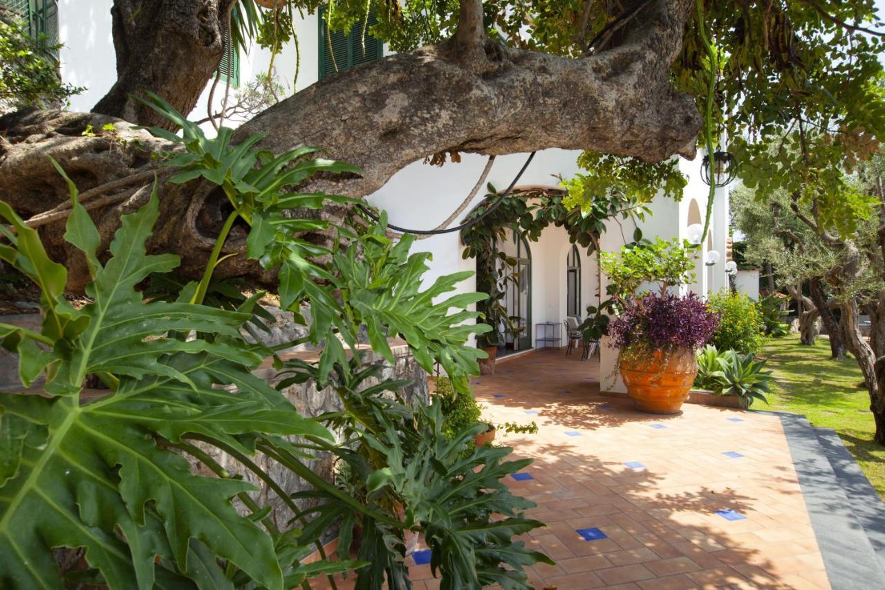 Amore Rentals -La Villa Positano Esterno foto